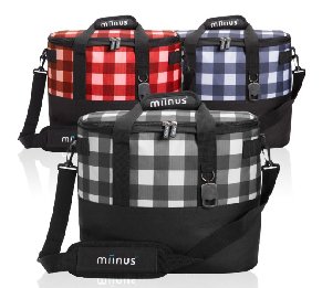 צידנית משפחתית מבודדת וסטפול